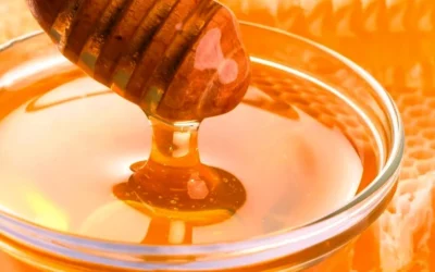 Beberapa Jenis Pelembab Alami untuk Mengatasi Kulit Kering